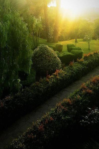 Tenuta Tropeano سانتا دومينيكا المظهر الخارجي الصورة